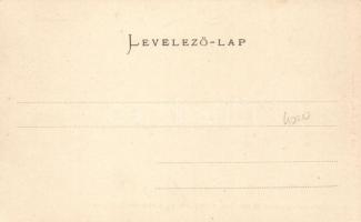 Budapest V. Károly kaszárnya / Új Városház; Ganz Antal