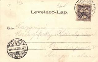 Budapest VI. Abbázia Kávéház, litho; Kosmos, Budapest (EK)