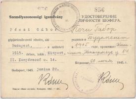 1938-1945. Pécsi Gábor őrvezető "Tűzkereszt", "Erdélyi Emlékérem", "Délvidé...