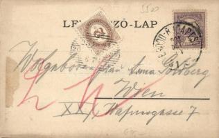 Villány, Gyimóthy Jákó áruháza, Villa Fürst; floral (ragasztónyom / gluemark)