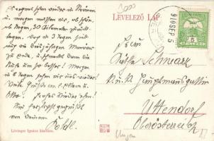 Baracska, Mészáros-kastély; Lövinger Ignácz kiadása