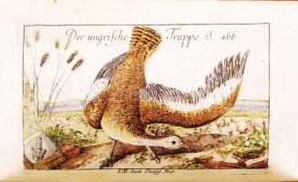 Ungrisches Magazin, oder Beyträge zur Ungrischen Geschichte, Geographie, Naturwissenschaft, und der ...