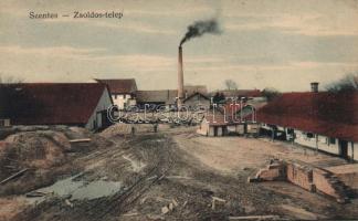 Szentes, Zsoldos-telep; kiadja Untermüller Ernő