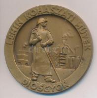 ~1970-1980. "Diósgyőr - Lenin Kohászati Művek" Br emlékplakett (50mm) T:2