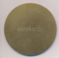 ~1970-1980. "Diósgyőr - Lenin Kohászati Művek" Br emlékplakett (50mm) T:2