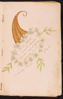 1890-1917 3 db bársony borítású régi emlékkönyv rajzokkal, kettő elejében lithoképpel