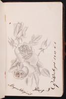 1890-1917 3 db bársony borítású régi emlékkönyv rajzokkal, kettő elejében lithoképpel