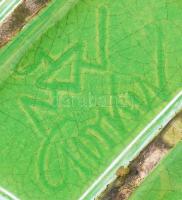 Gorka Géza (1894-1971): Halas dísztál. Repesztett mázzal, jelzett (Nógrádverőce), apró lepattanásokk...