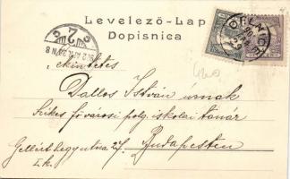 Skrad, railway station, floral