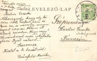 Bátyú, Lónyay-kastély / castle