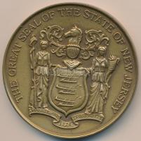 Amerikai Egyesült Államok 1976. A forradalom útkereszteződései - New Jersey / New Jersey állam nagypecsétje Br emlékérem (63mm) dísztokban T:1 USA 1976. Revolutions Crossroads - New Jersey / The Great Seal Of The State Of New Jersey Br commemorative medal (63mm) in case C:UNC