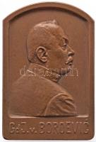 Osztrák-Magyar Monarchia 1915. "Svetozar Borojevic az Isonzó-hadsereg parancsnoka" Br emlékplakett. Szign.: G. Herrmann (140.9g/70x57mm) T:1 Austro-Hungarian Monarchy 1915. "Svetozar Boroevic / Commander of the Isonzo front" commemorative Br plaque. Sign: G. Herrmann (140.9g/70x57mm) C:UNC