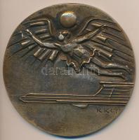 Kiss Kovács Gyula (1922-1984) DN. "MALÉV Hungarian Airlines - Magyar Közlekedési Vállalat" Br emlékplakett (100mm) T:2
