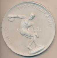 DN "Kiváló sportmunkáért" herendi porcelán plakett (107mm) T:2