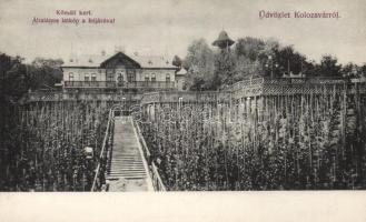 Kolozsvár, Nagy Gábor Kőmáli kertje a feljáróval / mansion (EK)