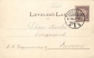 Kolozsvár, Fellegvár (EK)