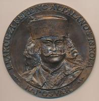 DN "II. Rákóczi Ferenc Általános Iskola - Kaposvár" nagyalakú Br plakett (99mm) T:2