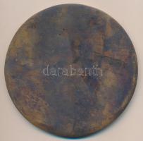 DN "II. Rákóczi Ferenc Általános Iskola - Kaposvár" nagyalakú Br plakett (99mm) T:2