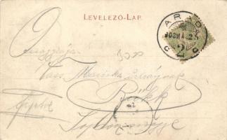 Arad, Marospart / riverside (EK)