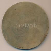 DN "Zrínyi Miklós Általános Iskola" Br emlékplakett (102mm) T:2