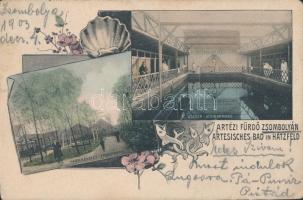 Zsombolya, Artézi fürdő, park és uszoda / Artesian spa, park, swimming pool (small tear)