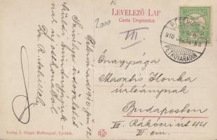 Újvidék, Pétervárad; Festung / fortress; Verlag J. Singer