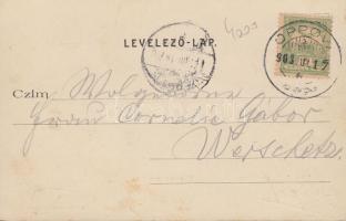 Oppova, Katolikus templom; kiadja Jagerovits S. / church