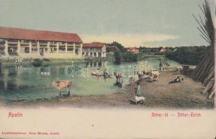 Apatin, Ritter-tó; kiadó Gasz Mátyás / lake