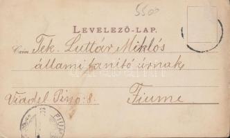 Zenta, Városháza, főgimnázium; Újévi üdvözlet / New Year, litho