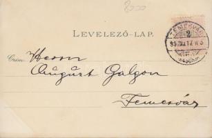 1899 Nagybecskerek, Gizella part; kiadja H. Schenk / riverside, floral litho