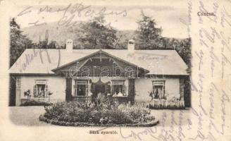 Csucsa, Back nyaraló / villa (EK)