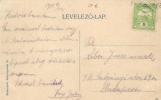 Szászváros, Broos; Vásár utca, Németh János kereskedése / shopping street