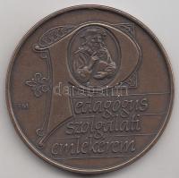 Fritz Mihály (1947-) DN "Pedagógus Szolgálati Emlékérem" Br emlékplakett (42,5mm) T:1