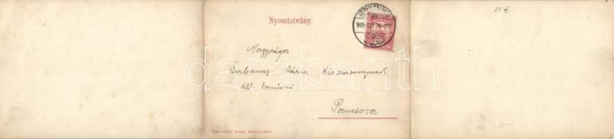 Herkulesfürdő, kiadja Mihalovitszky Arnold; panoramacard