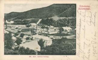 Zalatna, Kohó telep, Nagy Árpád kiadása / iron works (EK)