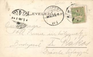 Zalatna, Kohó telep, Nagy Árpád kiadása / iron works (EK)