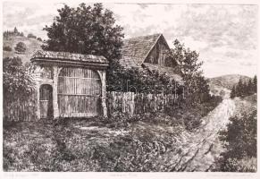 Csanády András (1929-): Öreg kapu. Rézkarc VI/VII, papír, jelzett, 19×28 cm