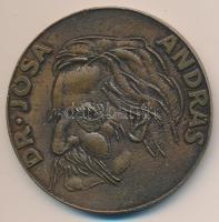 DN "Dr. Jósa András / Múzeum" Br emlékérem (59mm) T:2