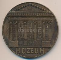 DN "Dr. Jósa András / Múzeum" Br emlékérem (59mm) T:2