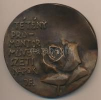 Janzer Frigyes (1939-): "Tétény promontor művészeti napok" Br plakett (850mm) dísztokban T:2