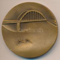 DN "Szeged" Br emlékérem (60mm) dísztokban T:1