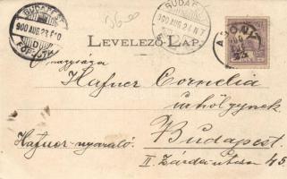 Abony Vendéglő az abonyi tanyához, casino, csendőrlaktanya, Abonyi Lajos háza, floral; Vörös László ...