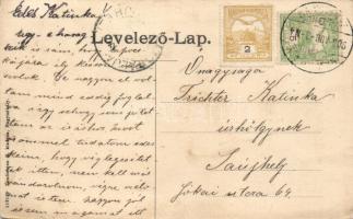 Nagymihály, Izraelita templom, villanytelep, Sztáray-kastély; Landesman B. kiadása / synagogue, powe...