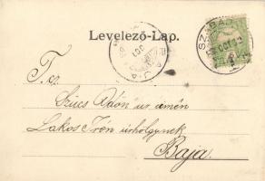 Szabadka, zsidó templom; Szigeti Jenő kiadása / synagogue