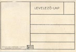 'A könnyező Mária kép' egyházellenes humoros lap / humourous anticlerical postcard s: Bíró