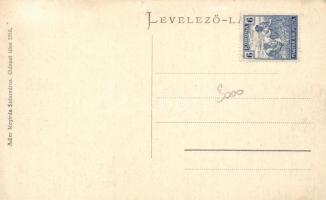 Vajdahunyad, Cserna-híd, Hummel Viktor üzlete / bridge, shop