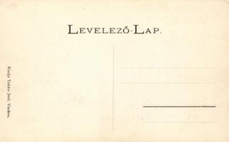 Vízakna-Sósgyógyfürdő, honvéd emlékmű; Takács Jenő kiadása / military monument