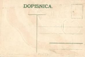 'Za hrvatski dom i rod' Croatian patriotic propaganda, flag, coat of arms, Emb. litho