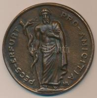 DN "Pécs - Erfurt Pro Amicitia" Br emlékplakett (85mm) szign.:NI. T:2