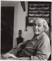 1968 Molnár Edit: Déry Tibor Kossuth-díjas író Balatonfüreden, a Tamáshegy-i otthonában, hátoldalán feliratozva, 21x18 cm